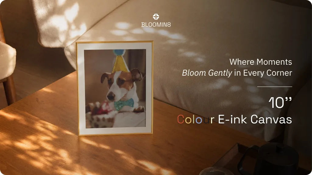 BLOOMIN8 10-inch Colour E-Ink Canvas