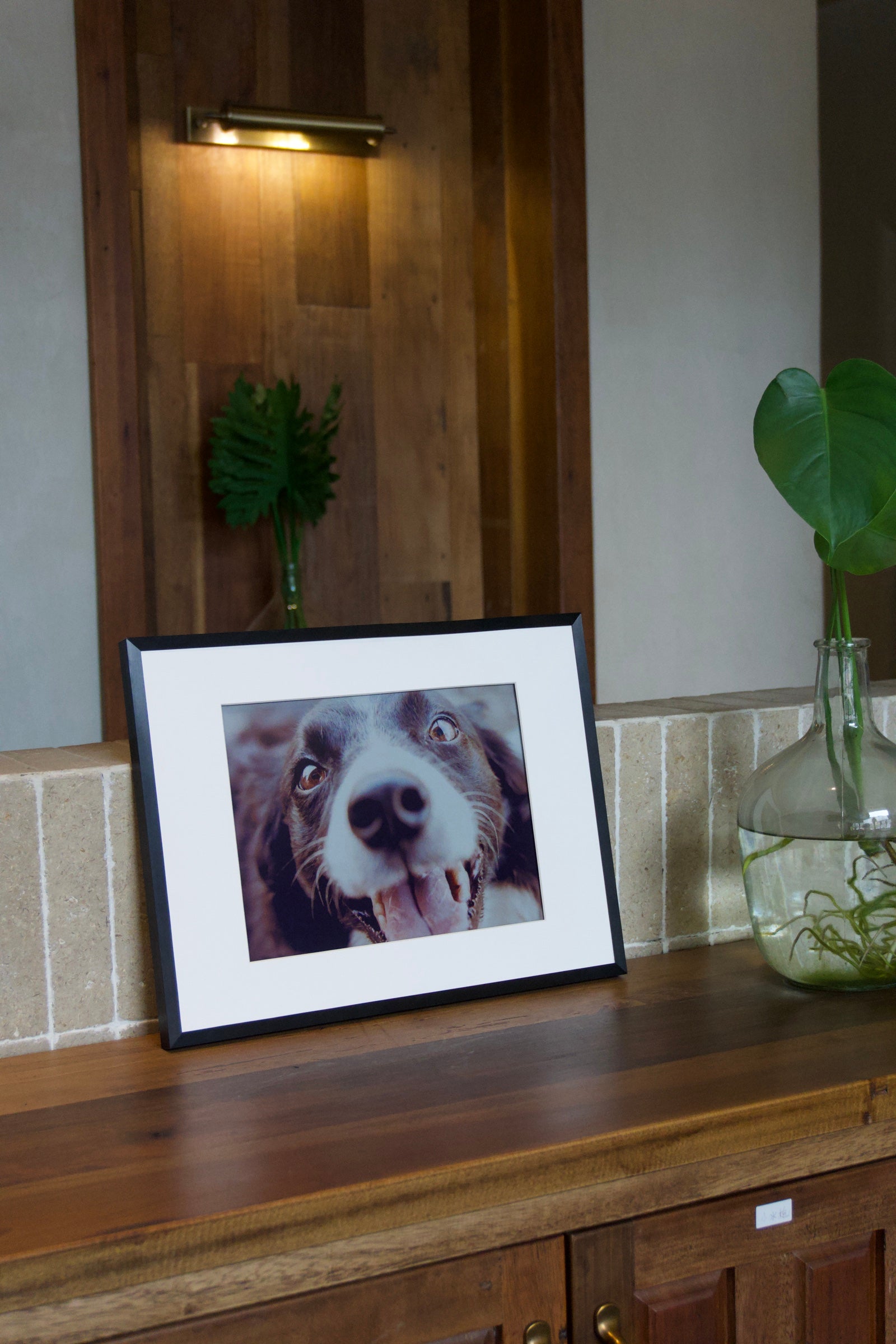 A BLOOMIN8 canvas displaying a dog portrait on a warm wooden cabinet