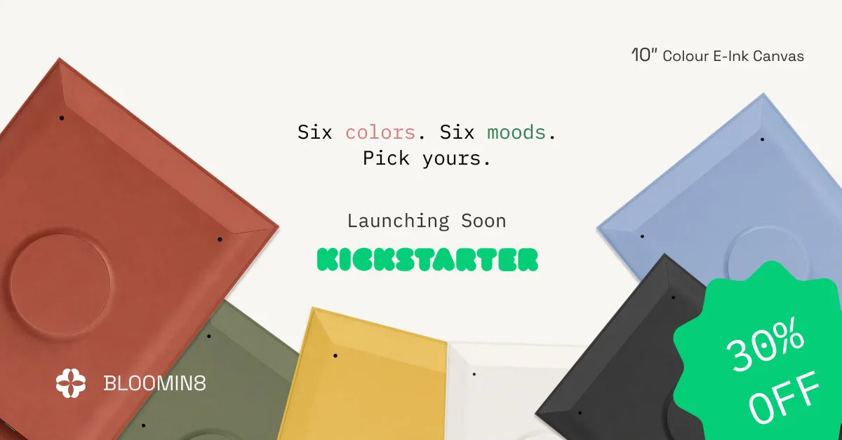 6 colour shells — early-bird offer